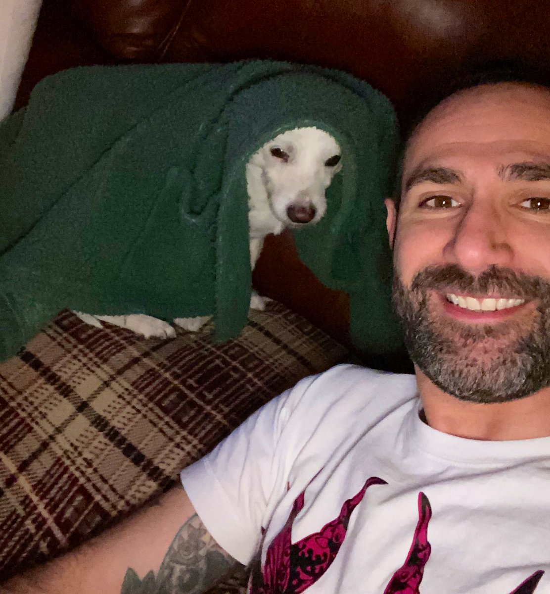 richie_rich77's tweet photo. Todays #PupPics 🥰🥰🥰🐷🐷🐷🐶🐶🐶 https://t.co/ILBAOiXLiS