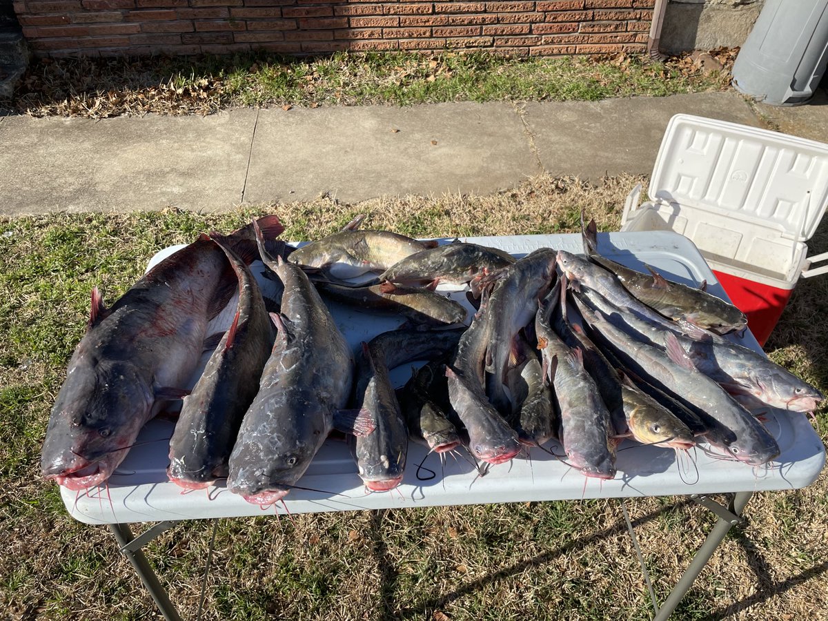 strikerwalt's tweet photo. Another good day at Lake Dallas https://t.co/a5t4yycIcg