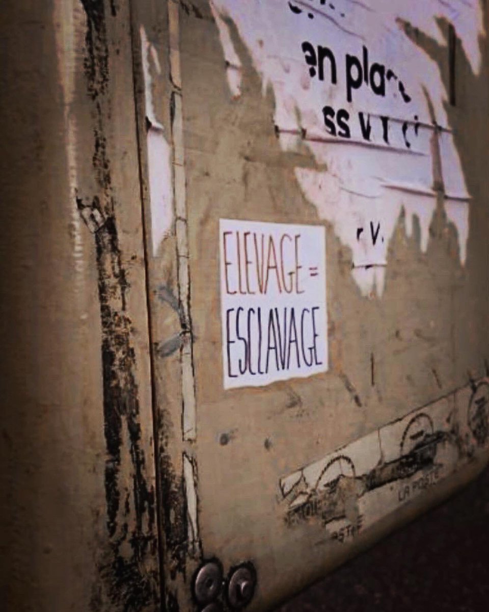 CollAnimalistes's tweet photo. 📍Nancy

Descriptif. Factuel. Revendicatif.
Le collage animaliste peut aussi être simple mais efficace.

(📷 @m_bdnzt)
#Collages #Animaliste #Elevage #Esclavage #Pandemie #Abolition #StopSpecisme https://t.co/ySjaQXBJOj