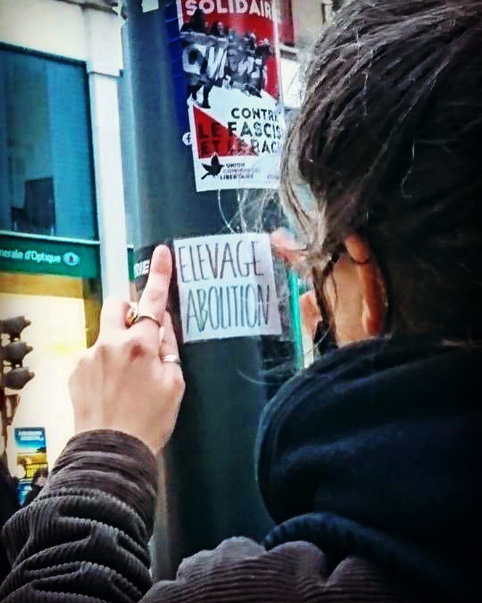 CollAnimalistes's tweet photo. 📍Nancy

Descriptif. Factuel. Revendicatif.
Le collage animaliste peut aussi être simple mais efficace.

(📷 @m_bdnzt)
#Collages #Animaliste #Elevage #Esclavage #Pandemie #Abolition #StopSpecisme https://t.co/ySjaQXBJOj