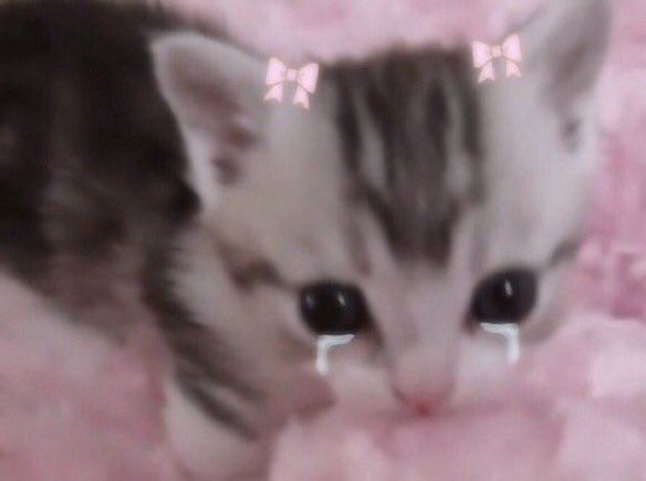 Goodnight to all the ladies <3

Men, night or wtv