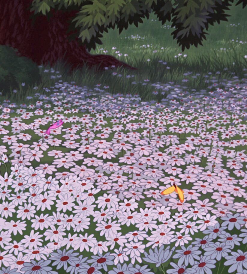 ♡ (@softblushs) on Twitter photo 