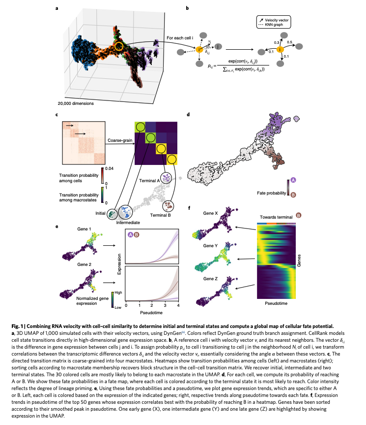 BioDecoded tweet media