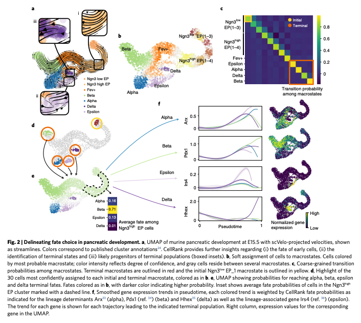 BioDecoded tweet media