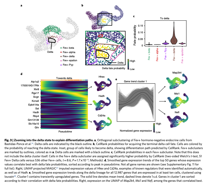 BioDecoded tweet media