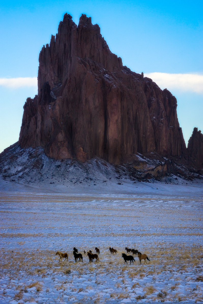 dkoseakaptures's tweet photo. #NewMexicoTRUE https://t.co/LzwtLwJPOW