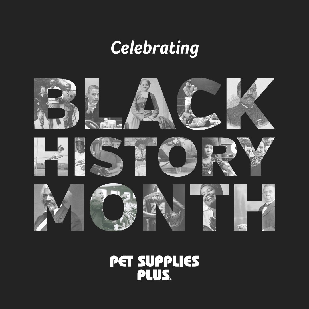 pet supplies plus website