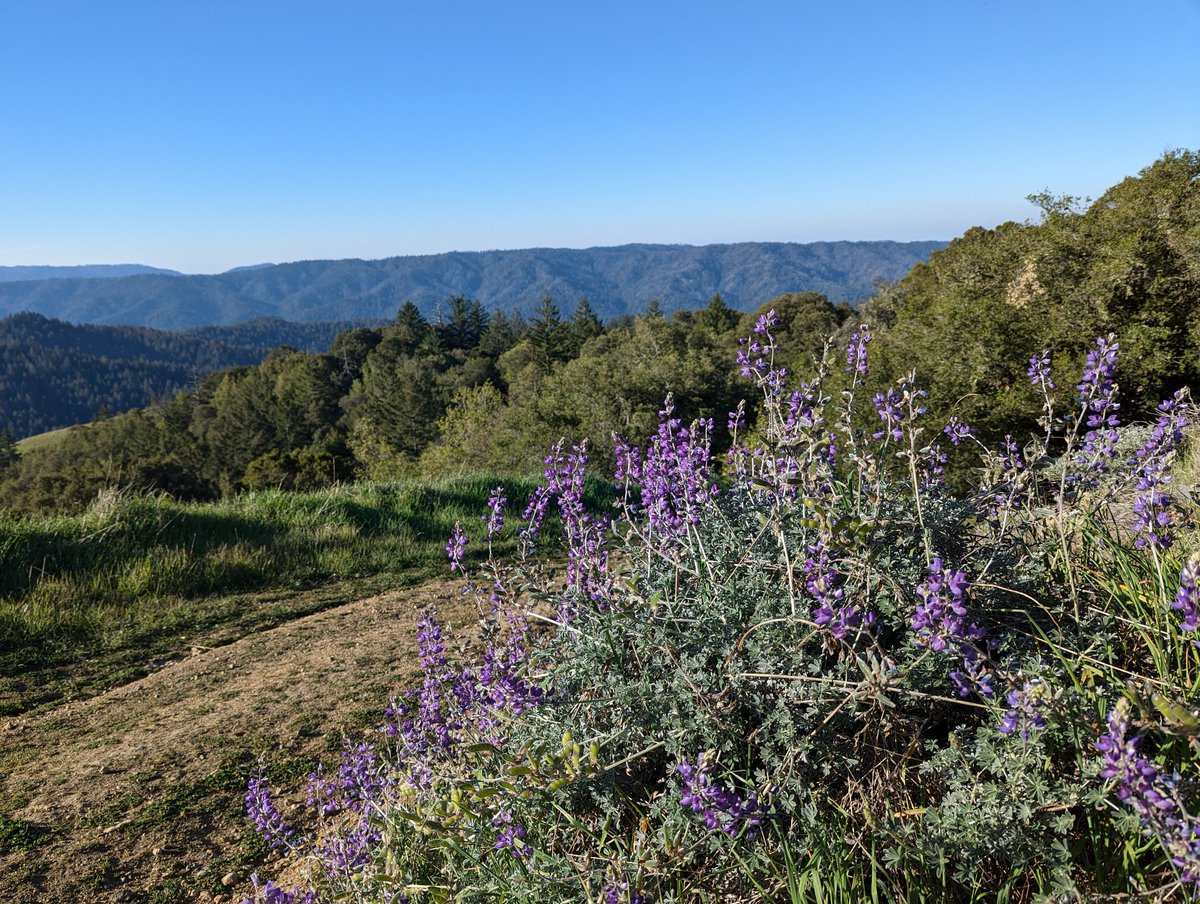 Capn_Kurt's tweet photo. Three more pictures because it was such a nice view https://t.co/oqfjI4hSj5