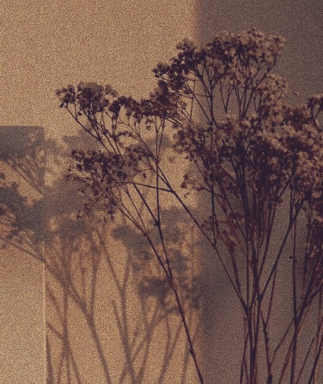 Yâri Ferhat olanın ellerle ülfeti ne?
Şirin ol katlanayım dağ gibi külfetine.

|Cemal Safi