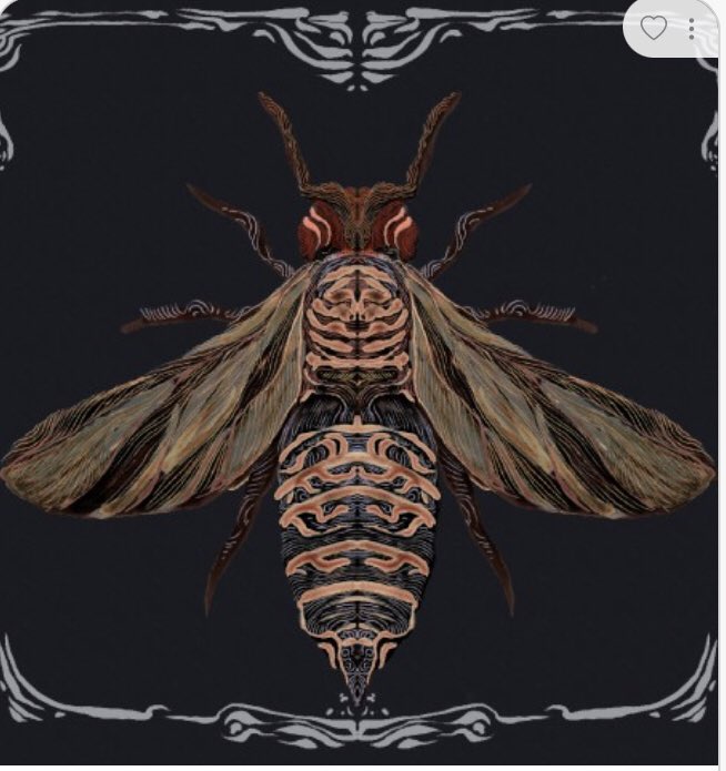 B€KİR $İM$€K tweet media