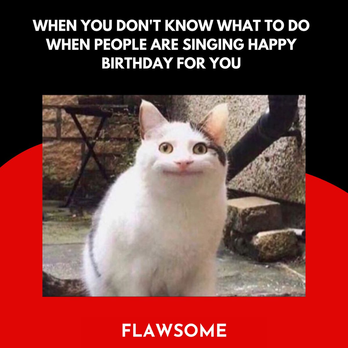 Flawsome_br's tweet photo. Tell me what to do?! #MEMES #relatable https://t.co/i2ynAwUSFt