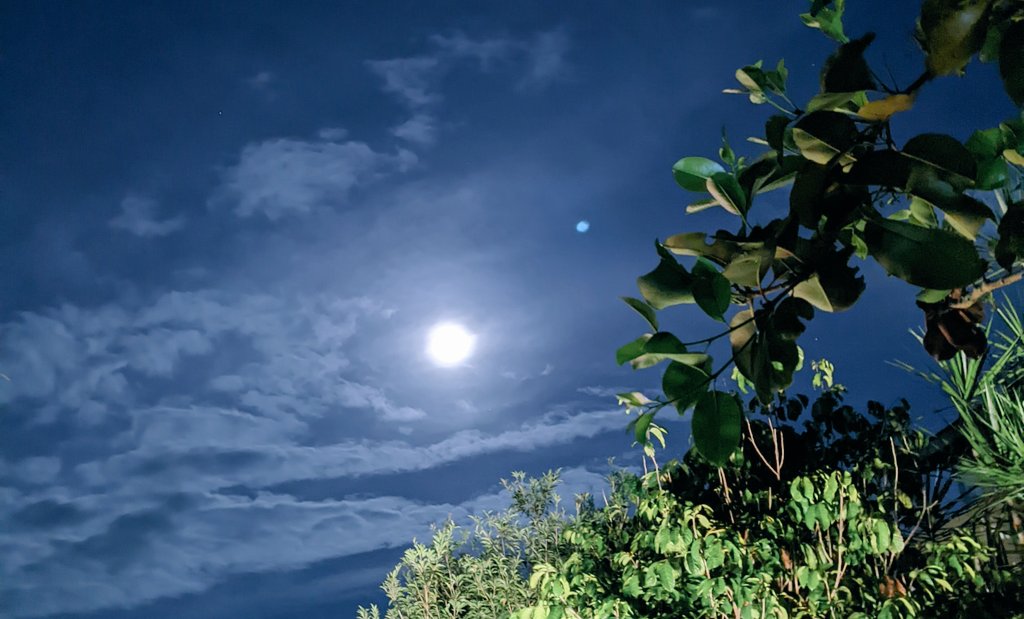 theregsays's tweet photo. 🌒 https://t.co/eigPBfC8SW