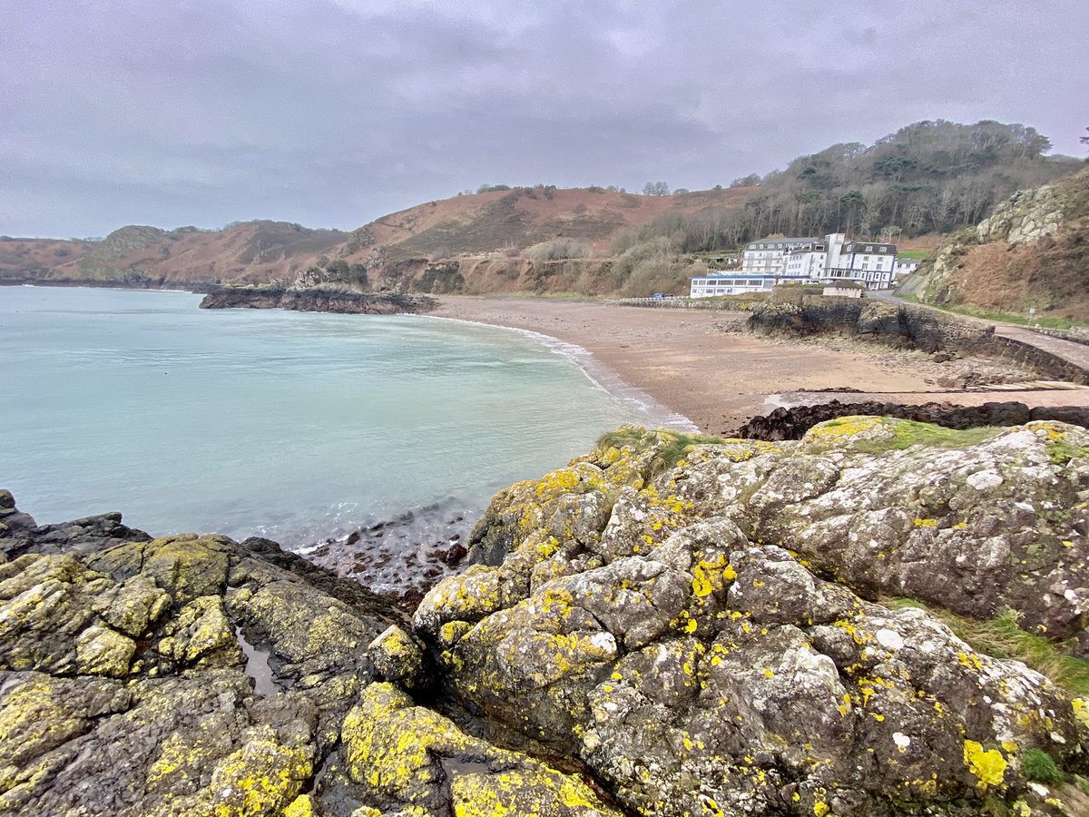 Matthew Hotton tweet media