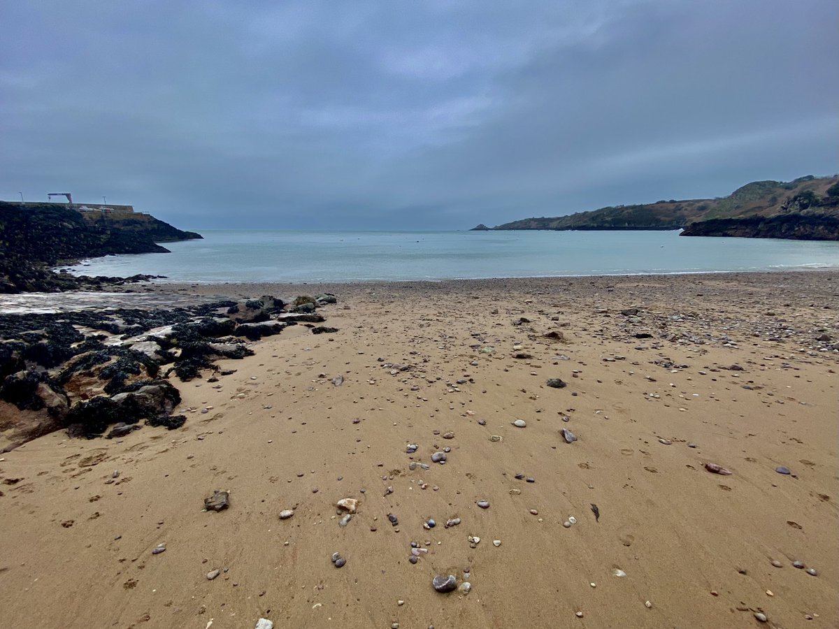 Matthew Hotton tweet media