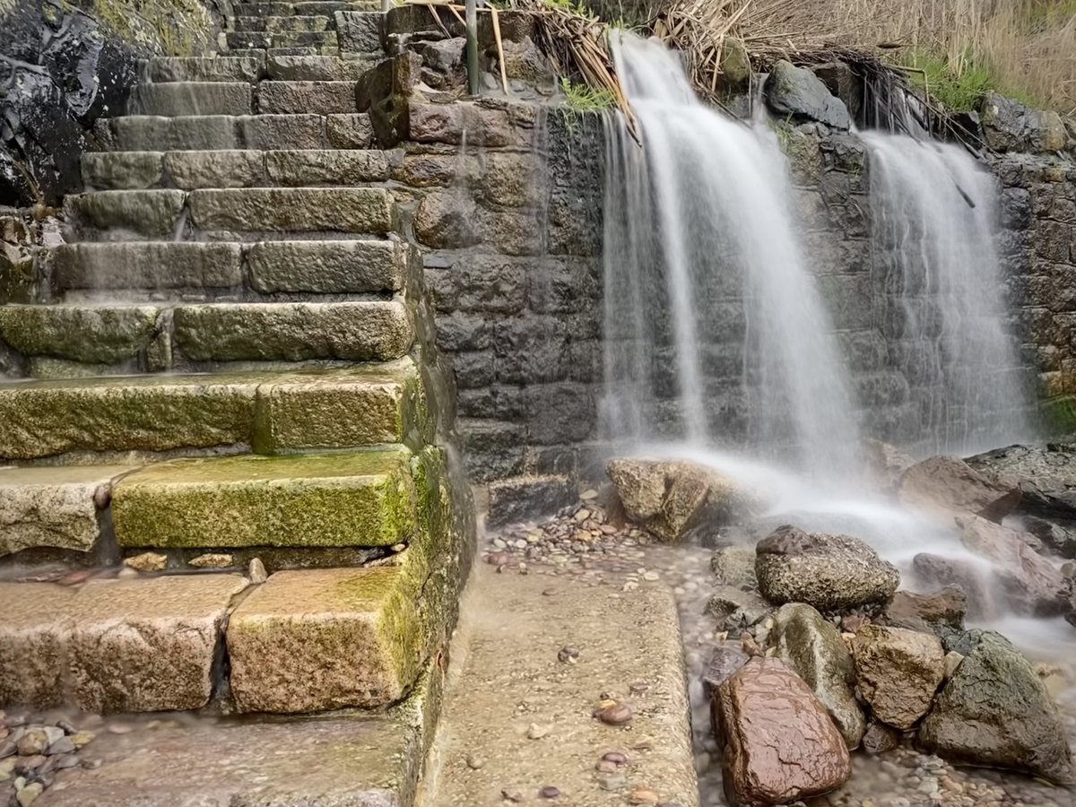 Matthew Hotton tweet media