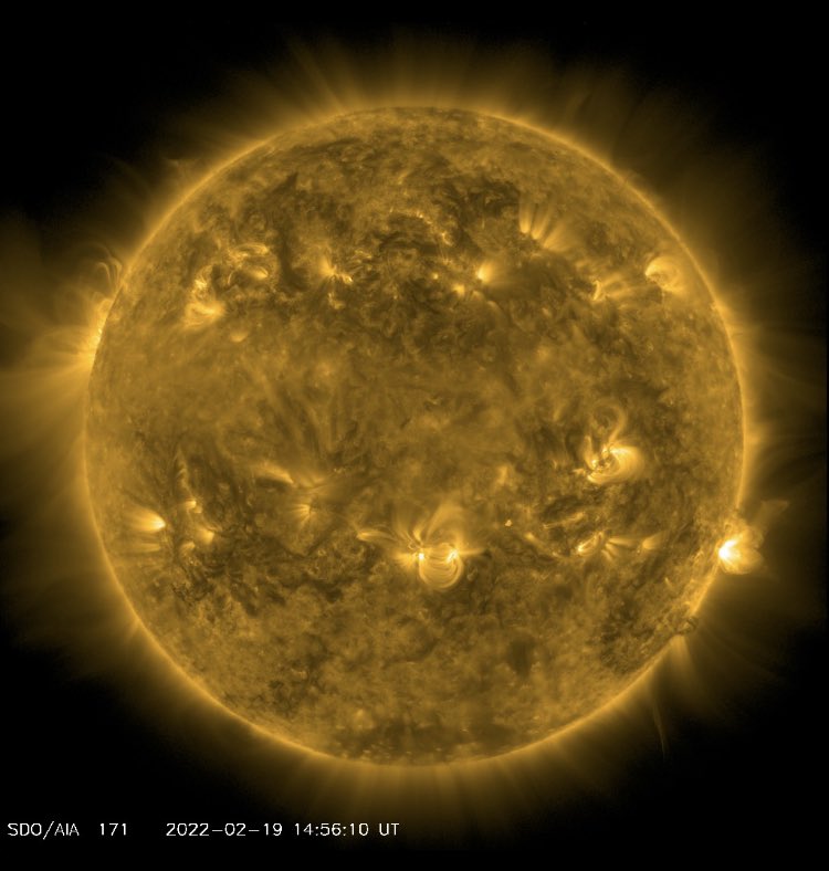 CosmicBayb's tweet photo. From the AIA 171
Take note 📝
#Sun☀️
#Star🌟
#SOULerSystem https://t.co/t1xDWs9ui0