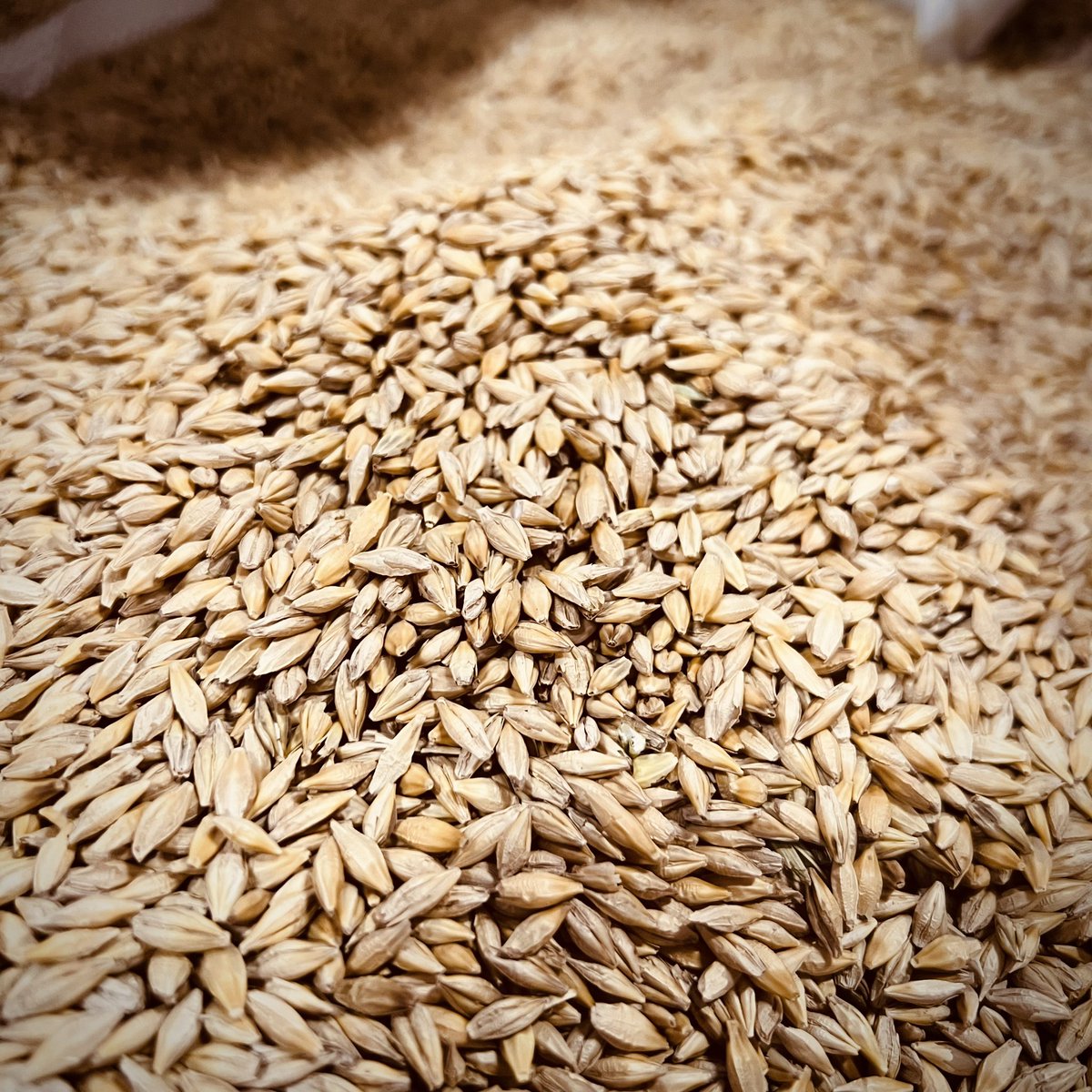 Beehive Distilling tweet media