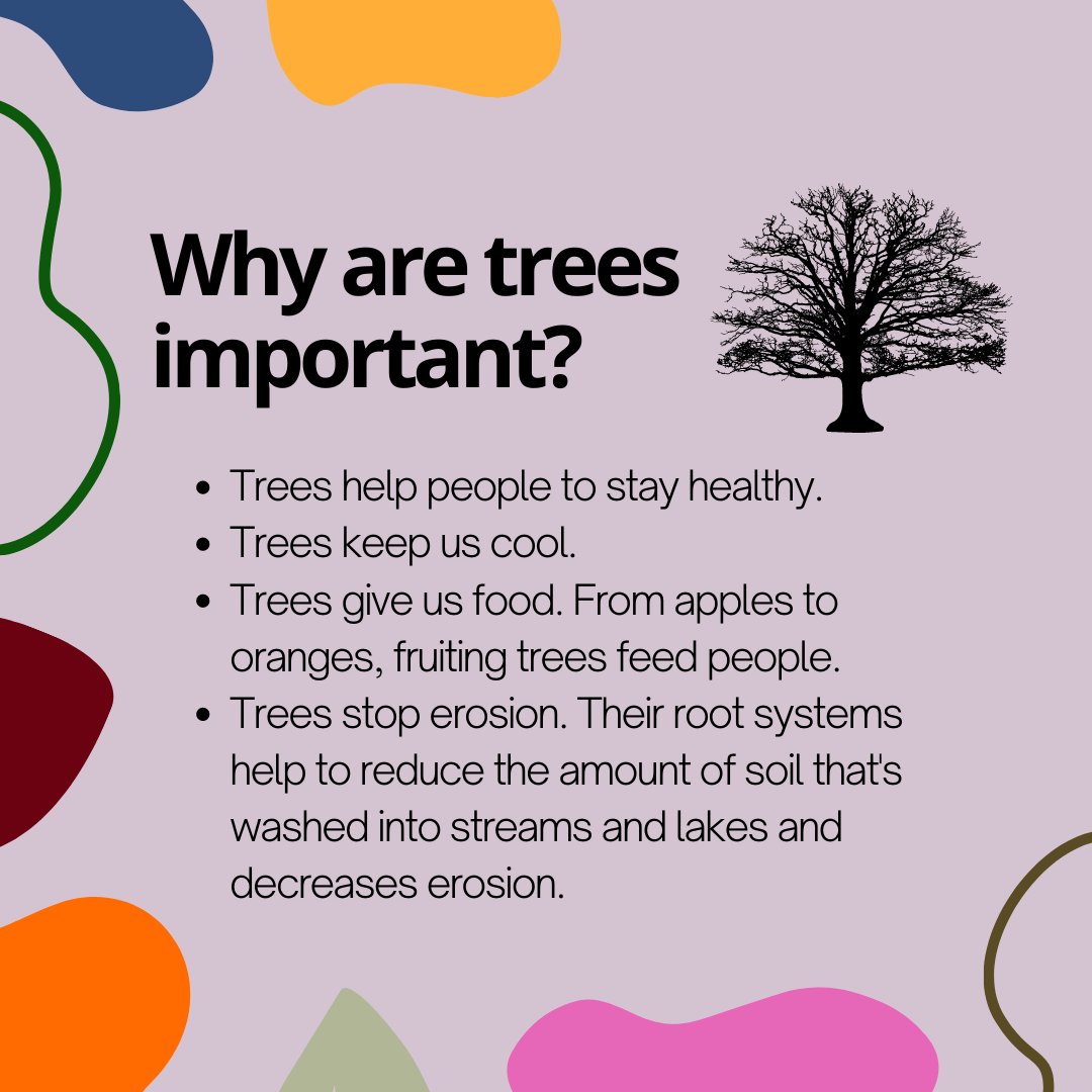 BorePlace's tweet image. We see trees almost every day, but have you ever wondered why they are here? 🌳

#greentourism #treeeducation #boreplace