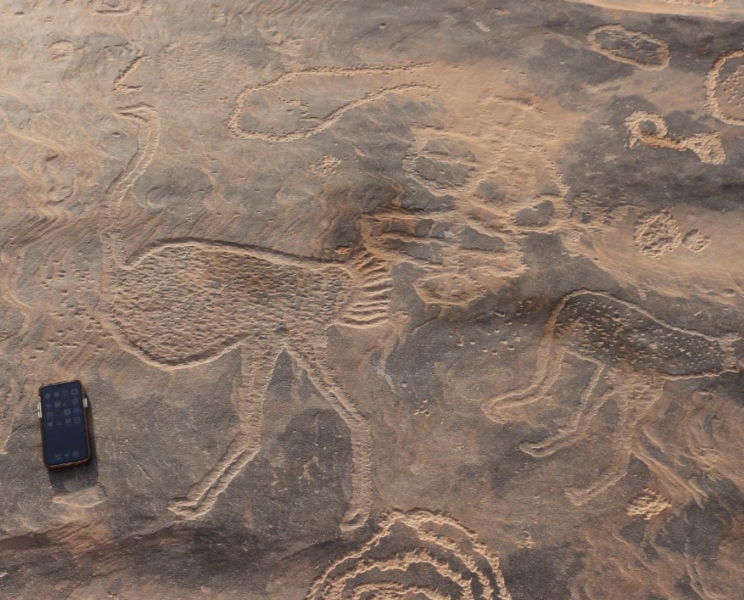 يعتبر طائر النعام من أهم الرسوم الصخرية في منطقة حائل.
 قد يكون في المرتبة الثالثة بعد رسوم الإبل والوعول. 
 ونجد أن الرسام غرب حائل، (ساحوت)،أبدع في رسم النعامة؛ فصورها وهي تركض رافعه جناحيها وأخرى تأكل، وثالثة وهي واقفة.
ونقش: عت نعامة.  وعت : ردد الكلام عليه، يعنى التكرار.