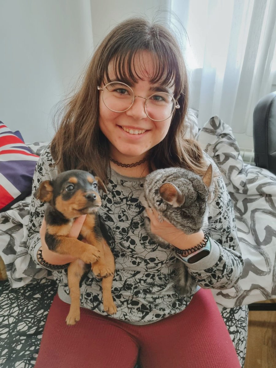 LauritaSaanchez's tweet photo. literalmente es como mi chinchilla de tamaño, son iguales, me muero de amor. 🐶🐭❤️ https://t.co/xRZttOKVob