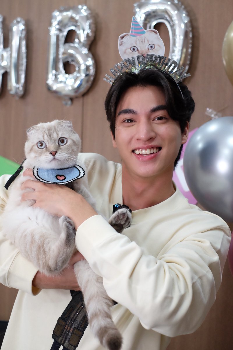 FelinaCanino_Official tweet media