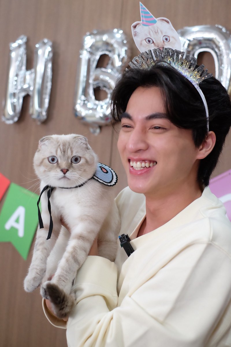 FelinaCanino_Official tweet media