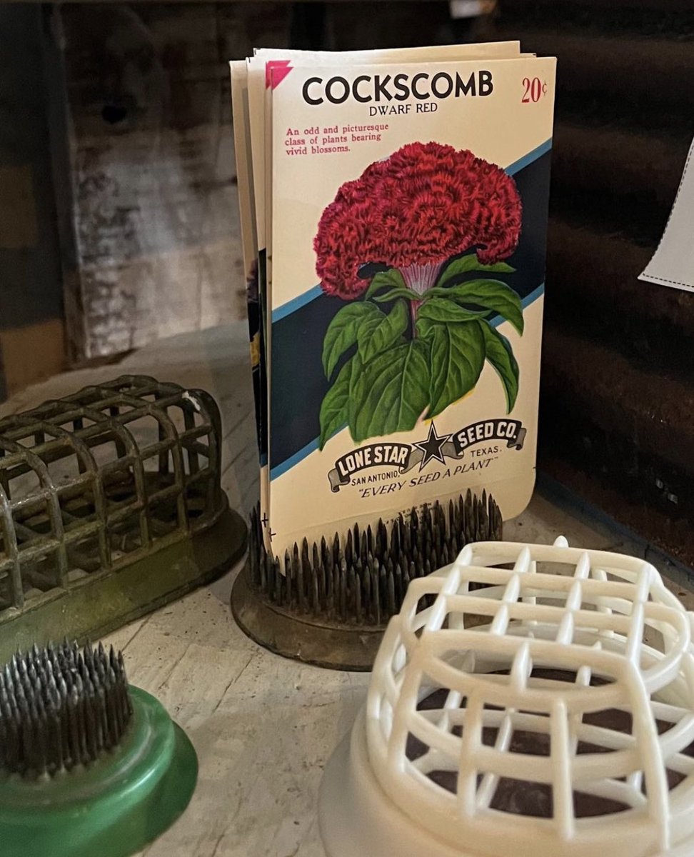 Vintage flower frogs &amp; old seed packets! Yes please 😍 maybe if we all try hard enough we can manifest an early spring?! #thebarnatcreeksidefarm #virginiavintagemarket