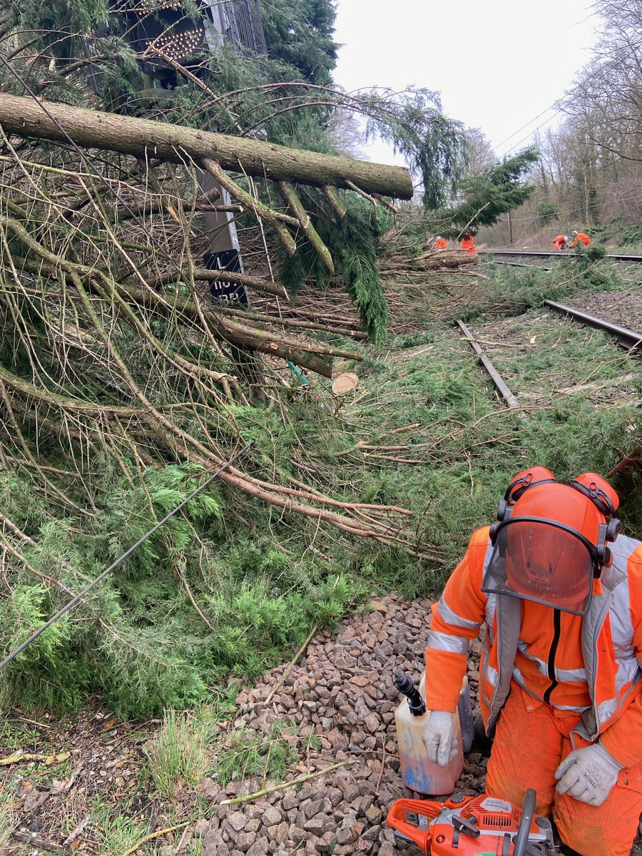 prorailuk's tweet photo. Our Veg Management teams out responding to a call out from the Tottenham DU, near Bishops Stortford. Extensive work was required to get the line clear but now completed. Great teamwork with @NetworkRailAng @networkrail https://t.co/vRxM5a3S7k