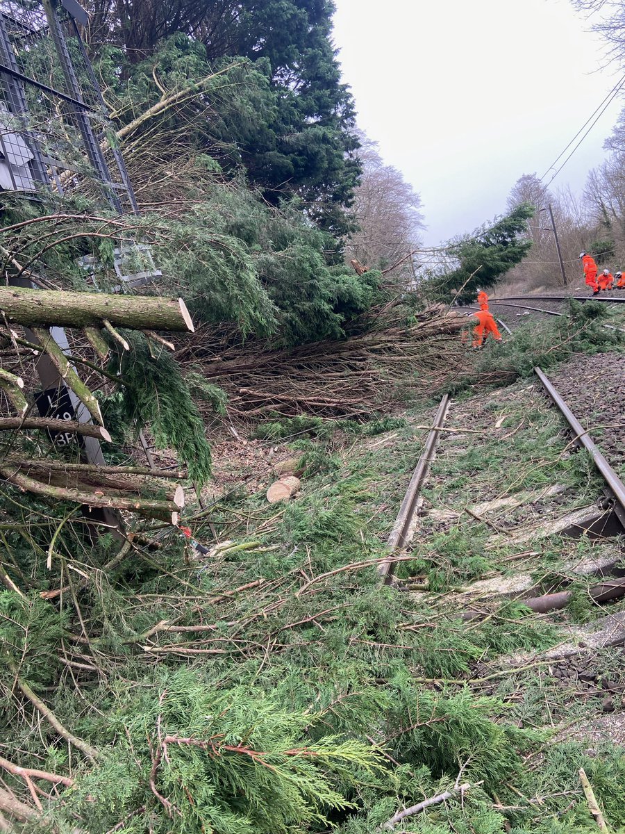 prorailuk's tweet photo. Our Veg Management teams out responding to a call out from the Tottenham DU, near Bishops Stortford. Extensive work was required to get the line clear but now completed. Great teamwork with @NetworkRailAng @networkrail https://t.co/vRxM5a3S7k