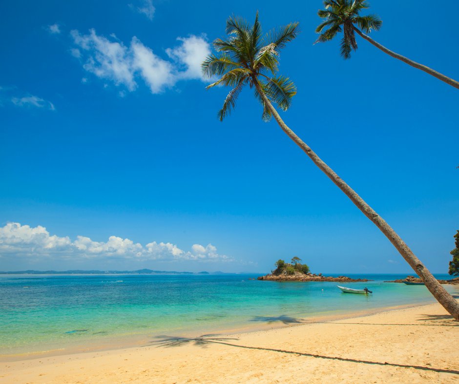 Catalyst Tester tweet media