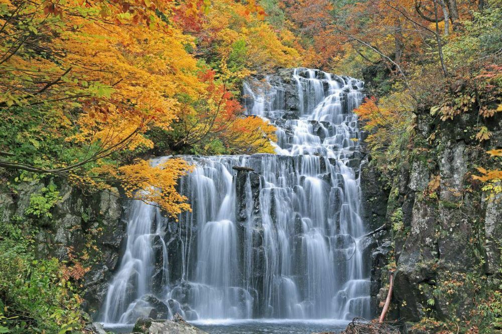 GoGoEasyApp's tweet photo. Ninotaki waterfall of the Tachimata Valley, Akita Prefecture, Japan

Discover more interesting events in GoGoEasy app:
https://t.co/3uSMwWLNDT

#GoGoEasy #Travel #Trip #Plan #Vacation https://t.co/zCYC1vg8Y5