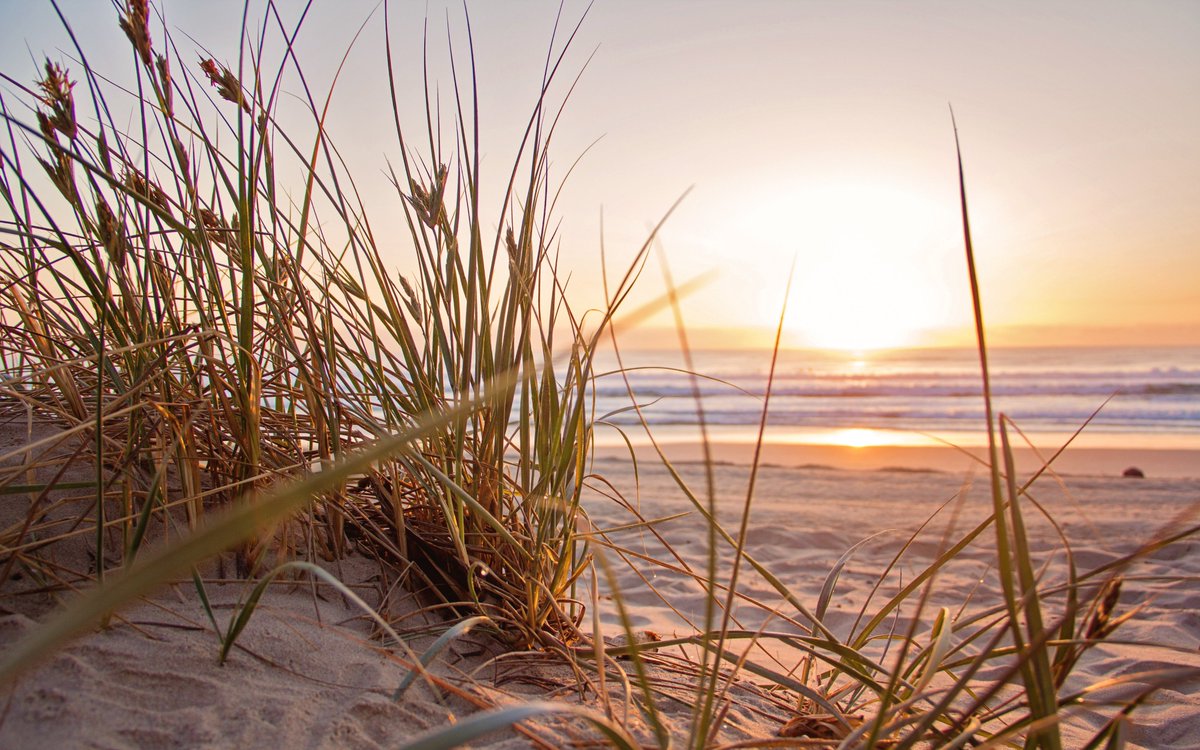 ChasAcupuncture's tweet photo. Feels like spring, but it’s still winter!
Winter is a time of inward reflection, rest and restoration. In TCM, it is associated with the element of water, which relates to the bladder and kidneys.
 Acupuncture is a wonderful tool to keep you balanced. 
#tcm #charlestonacupuncture https://t.co/bZ2pzgHzKq