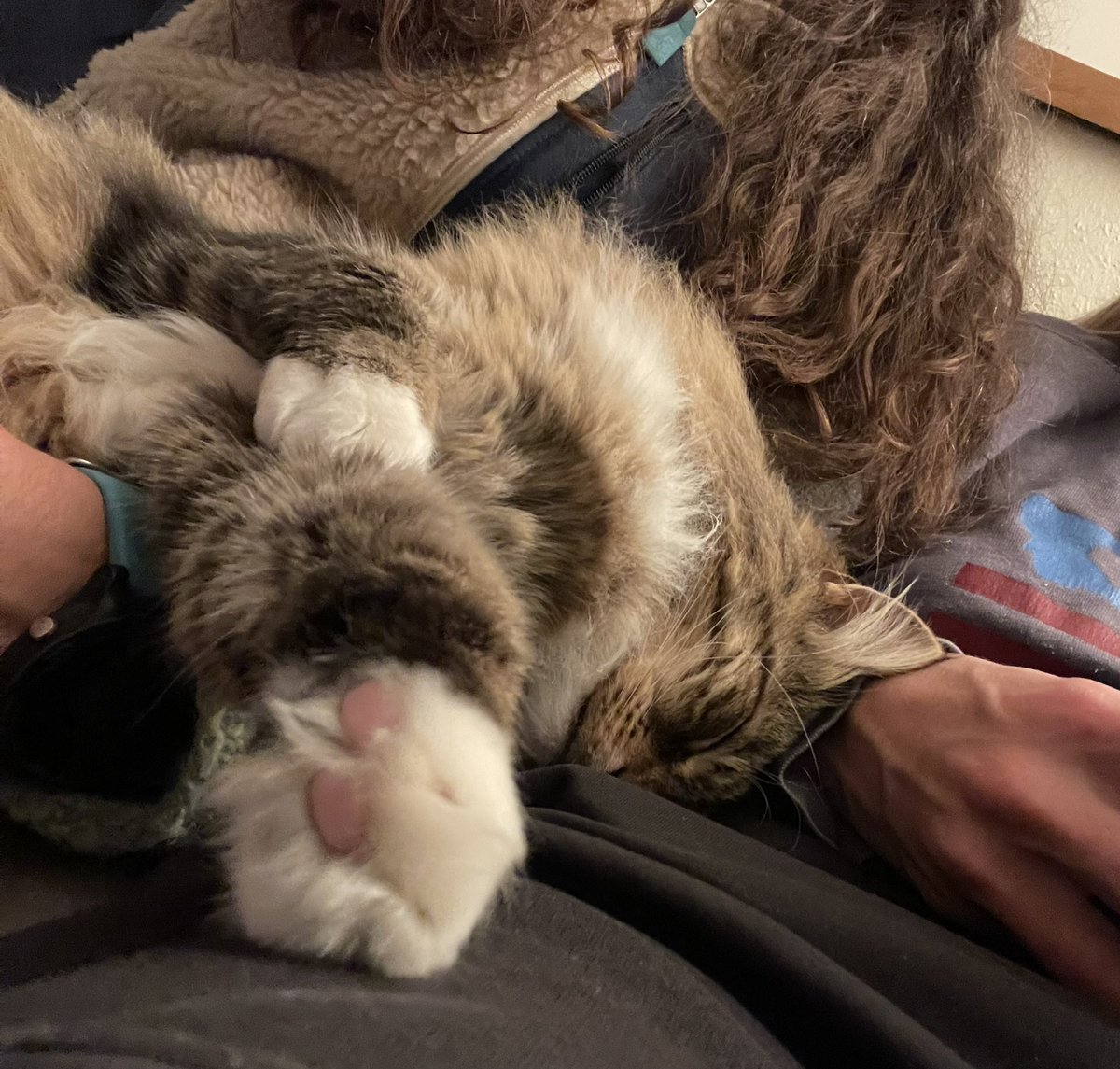 GoMegFisher's tweet photo. Anyone else fall asleep early last night?  I stayed up long enough to watch some @Olympics. https://t.co/O94qgrJs1h