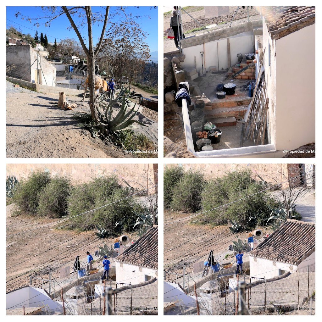 Mayte Martínez Caro tweet media