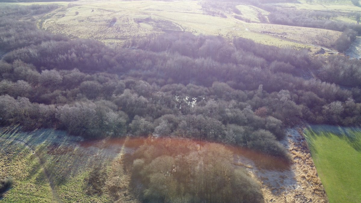 ⚠️ SAVE DANES MOSS ⚠️ Help us protect our peatlands
fruitsoftheforage.co.uk/blogs/news/sav… #danesmoss #peatlands #cheshire