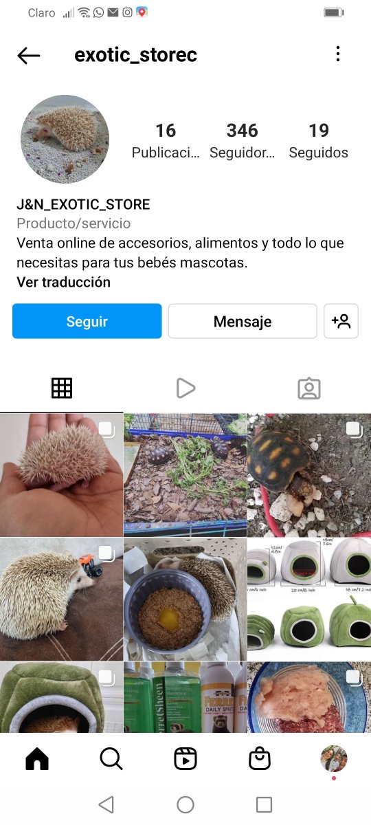 mafer_medrano's tweet photo. @Ambiente_Ec en instagram en esta cta venden erizos y otros animales exóticos 😵 https://t.co/V4N898Baa6