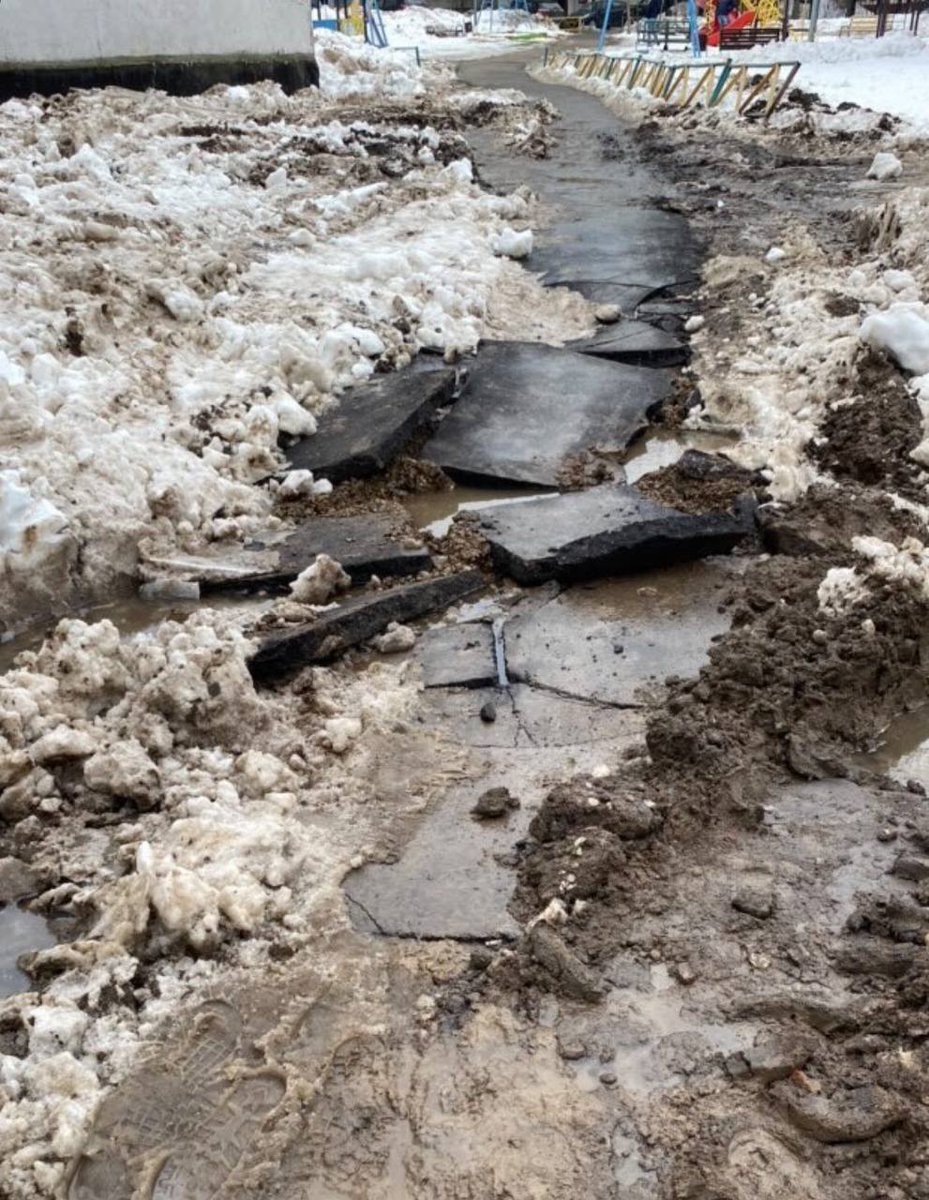 Дикая Москва tweet media