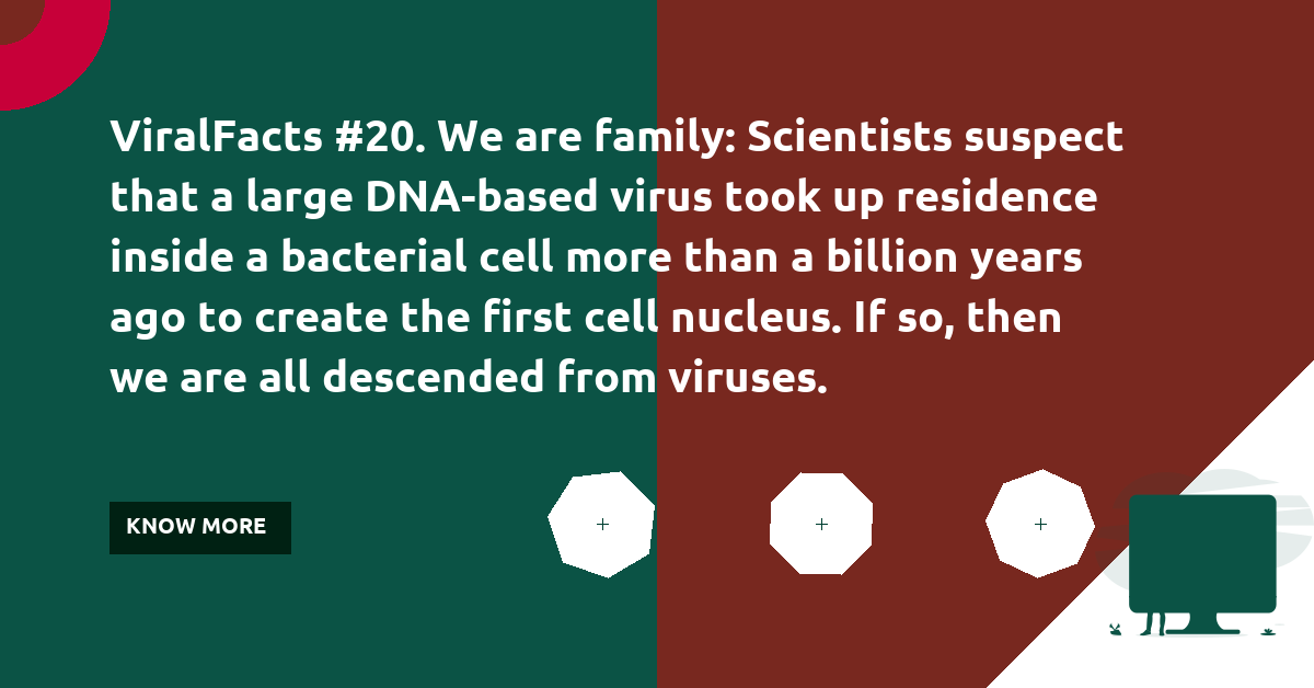 thebiologist14's tweet photo. ViralFacts #20. We are family: Scientists suspect that a large DNA-based virus took up residence inside a bacterial cell more than a billion years ago to create the first cell nucleus. If so, then we are all descended from viruses. #physicaldistancingclub #VaccinesWork #stayhome https://t.co/mQyVMrw4eW