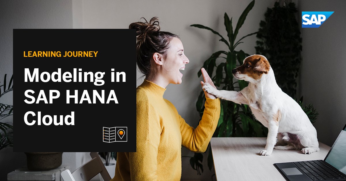 [woman high-fiving a dog]

Learning journey: Modeling in SAP HANA Cloud