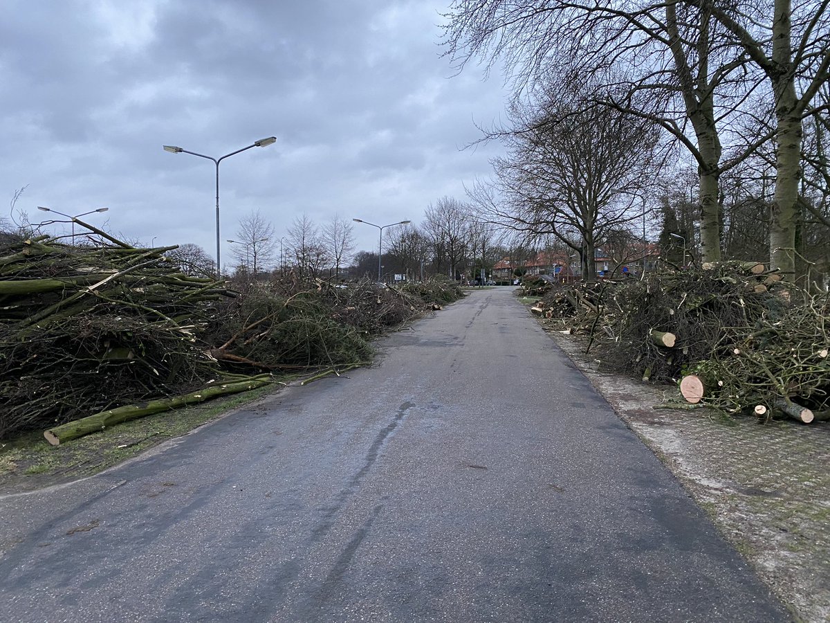 Sander Potjer tweet media