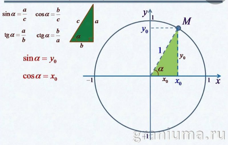 Cos f tg f. Понятие синуса косинуса тангенса и котангенса числа. Синус косинус тангенс котангенс тригонометрия 10 класс. Окружность синусов и косинусов тангенсов котангенсов. Окружность Алгебра 10 класс синус.