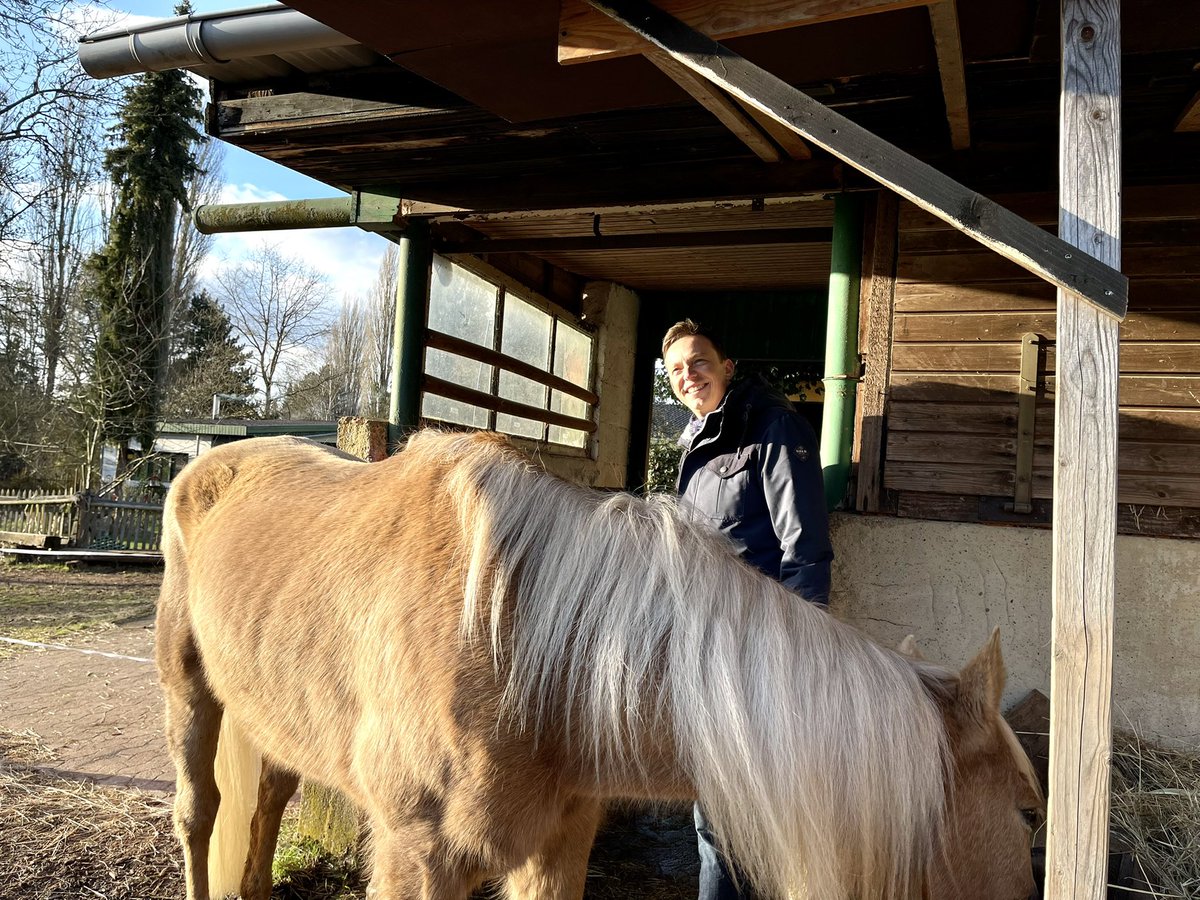 _laurakraemer's tweet image. Weil's am 27. März um nichts weniger geht, als die #Zukunft unseres Landes -  wir kämpfen mit @tobiashans um jede Stimme! 🙌🏼 #sogehtZukunft