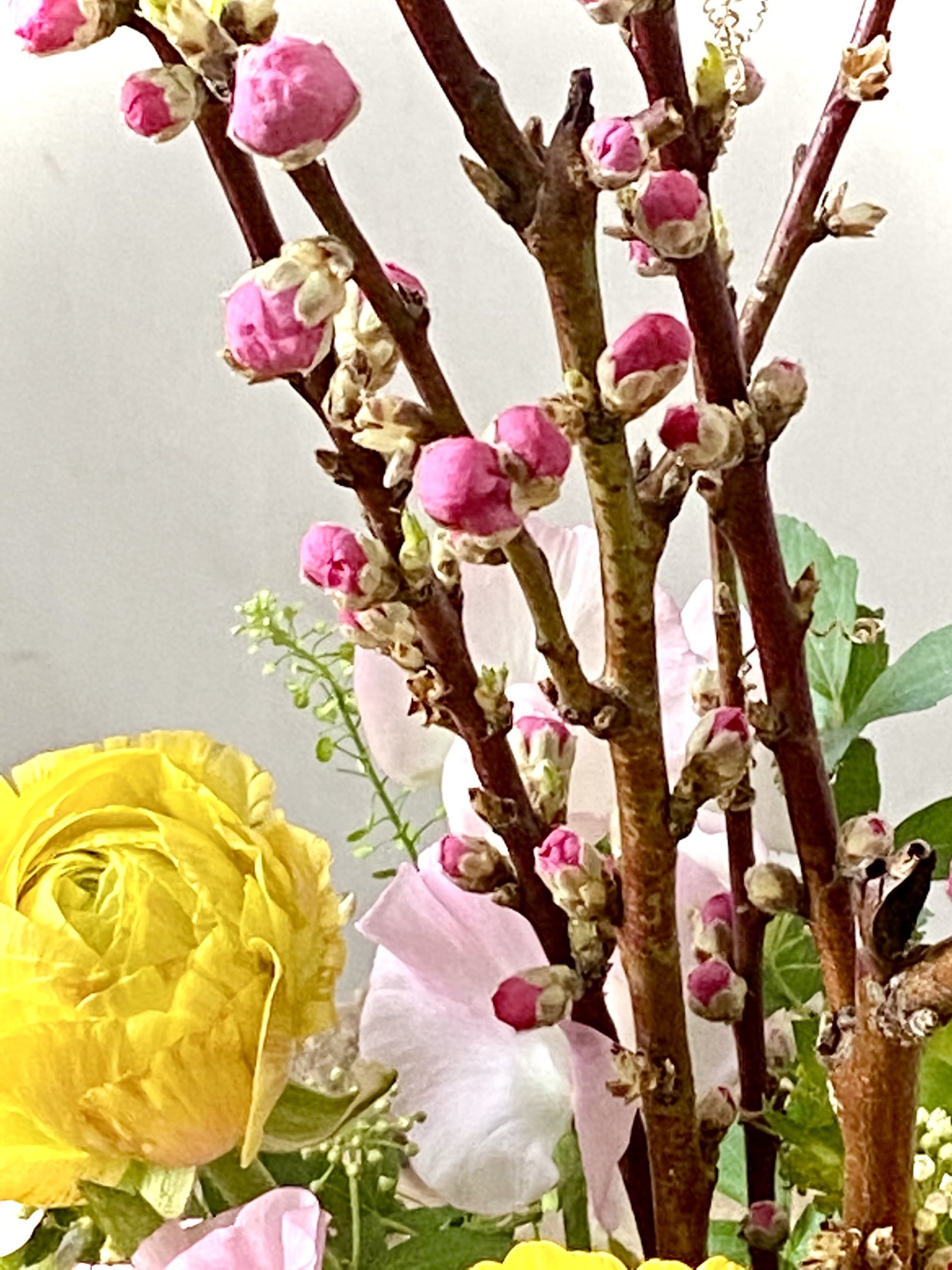 تويتر フラワーショップ花太郎 على تويتر 桃の花入荷しています スイトピーやチューリップと合わせて飾ってみませんか オリンピック観戦のおともにも良いかも 桃の花言葉は チャーミング 気立ての良さ 私はあなたのとりこ 天下無敵 ですって