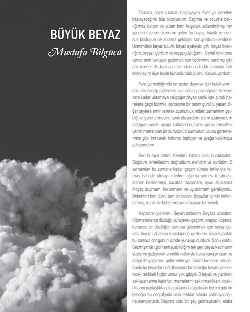 Mustafa Bilgücü'nün "Büyük Beyaz" başlıklı öyküsünü dergimizin 38. sayısında okuyabilirsiniz.

#Şiar38