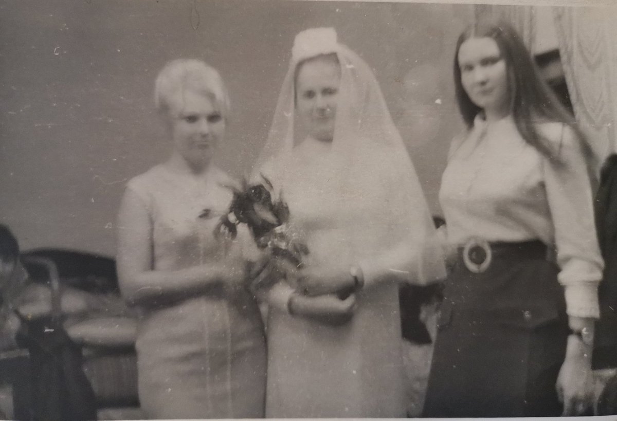 Владимир tweet media