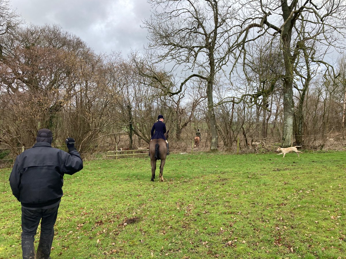 Severn Vale Hunt Sabs tweet media