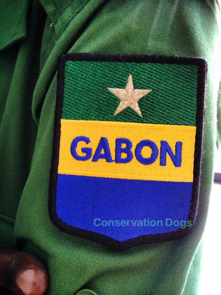 It’s World Pangolin Day.Pangolin are one of the the most trafficked mammals in the world. We are proud to have trained dogs to help in the fight against the illegal wild life trade. Including Far East &amp; Africa. #WorldPangolinDay #pangolins #conservation #detectiondogs #usethebest