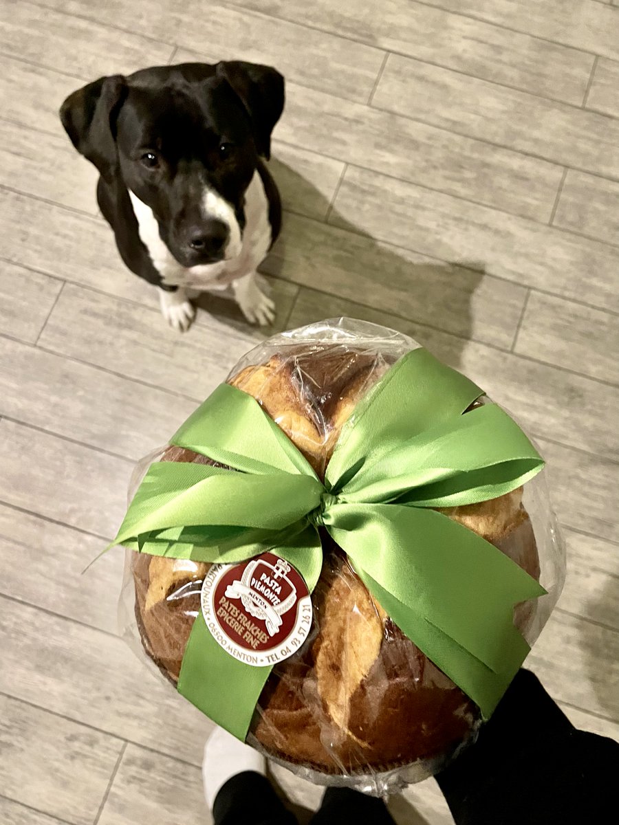 MisterRiviera06's tweet photo. 🍋😋 A première vue, le Panettone au #CitrondeMenton fait envie à tout le monde ... Pour le découvrir, rendez-vous à la boutique de Luisa et Riccardo Inversi : #PastaPiemonte (@Pastapiem)
📍 34 Rue Partouneaux, Menton
#MentonRivieraMerveilles #CotedAzurFrance #MisterRivieraBlog https://t.co/R2rB60FE3U