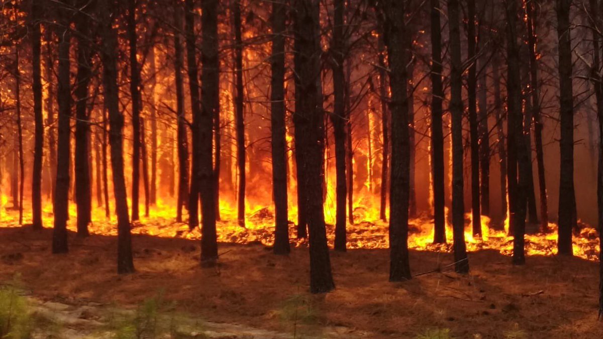 PasajeTransito's tweet photo. 🔥 El fuego en #Corrientes ya consumió 800 mil hectáreas en una catástrofe sumamente dolorosa 

🇱🇺 Para tomar dimensión, ese área equivale a tres veces el territorio de #Luxemburgo 

🇵🇷 Es el 9% de la provincia pero sería el 90% de #PuertoRico 

#PrayForCorrientes #CorrientesArde https://t.co/Ps76YGu8kp