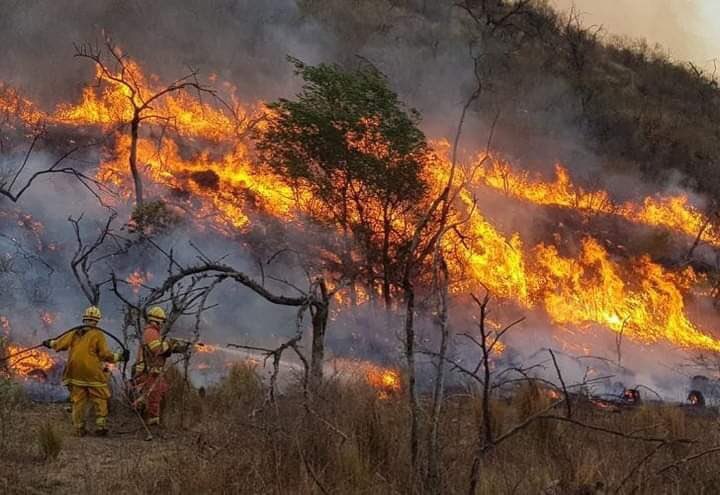 PasajeTransito's tweet photo. 🔥 El fuego en #Corrientes ya consumió 800 mil hectáreas en una catástrofe sumamente dolorosa 

🇱🇺 Para tomar dimensión, ese área equivale a tres veces el territorio de #Luxemburgo 

🇵🇷 Es el 9% de la provincia pero sería el 90% de #PuertoRico 

#PrayForCorrientes #CorrientesArde https://t.co/Ps76YGu8kp